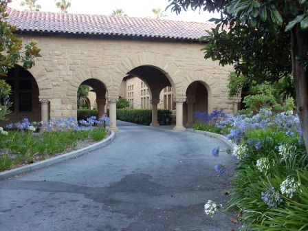 Stanford fleurs
